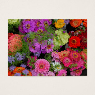 Vibrant coloured daisies
