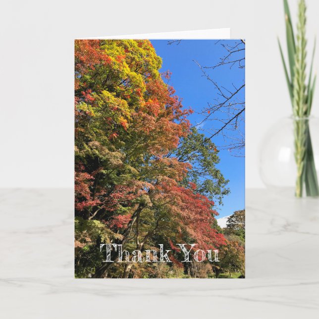 Vibrant Coloured Maples Card (Front)