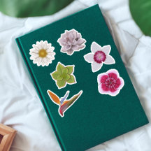 Vibrant Colourful Hand-Drawn Wildflower & Succulen