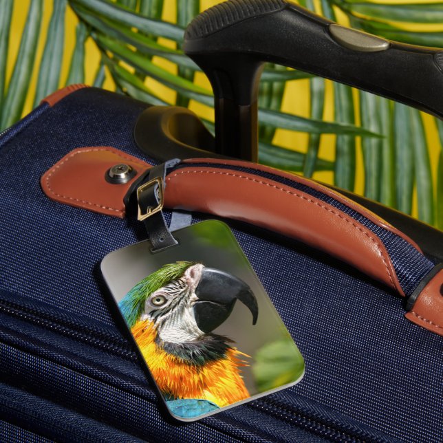 Vibrant Colourful Macaw Luggage Tag (Front Insitu 1)