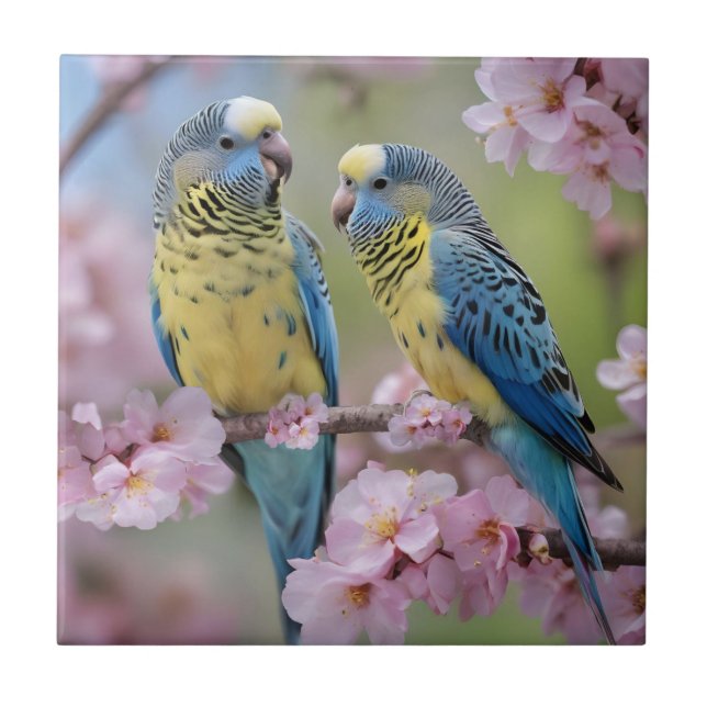 "Vibrant Companions: Blue and Yellow Budgies" Tile (Front)