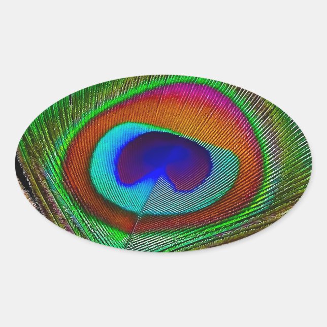 Vibrant Copper Peacock Feather Oval Sticker (Front)