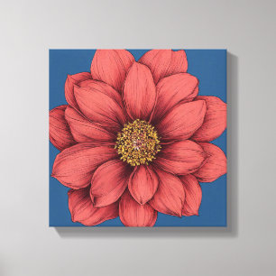 Vibrant Coral Dahlia Bloom on Teal Blue Canvas Print