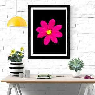 Vibrant Cosmos Burst Photo Print