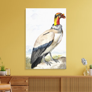 Vibrant Exotic King Vulture Wall Decor