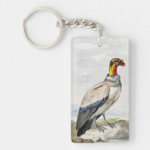 Vibrant Exotic King Vulture Wall Decor Key Ring