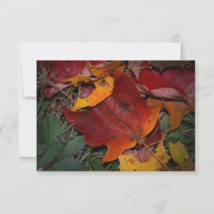 Vibrant Fall Leaves Card