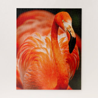 Vibrant Flamingo Wildlife Bird Jigsaw Puzzle