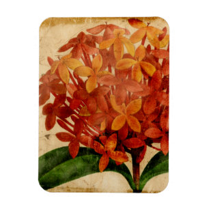 Vibrant Floral III Magnet