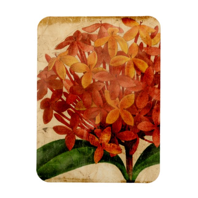 Vibrant Floral III Magnet (Vertical)