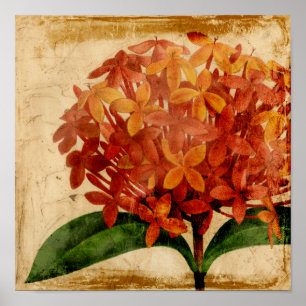 Vibrant Floral III Poster