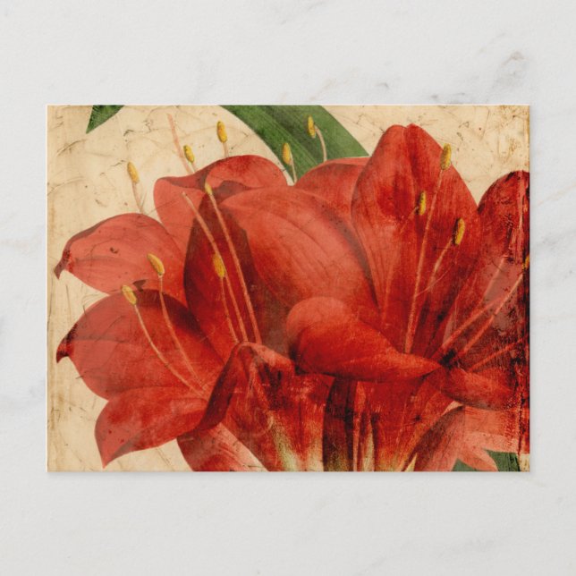 Vibrant Floral VIII Postcard (Front)