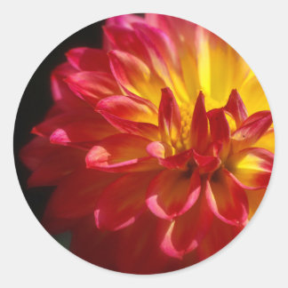Vibrant Flower Sticker