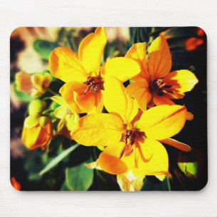 Vibrant Flowers Mouse Pad