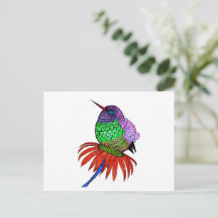 Vibrant Fluffy Baby Hummingbird Postcard