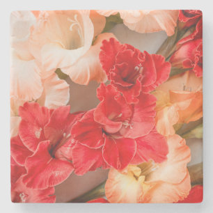 Vibrant Gladiolus flowers Stone Coaster