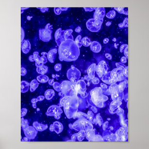 Vibrant Glowing Nautical Jellyfish Swarm Poster