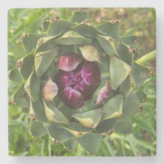 Vibrant Green and Purple Tuscan Artichoke Stone Coaster