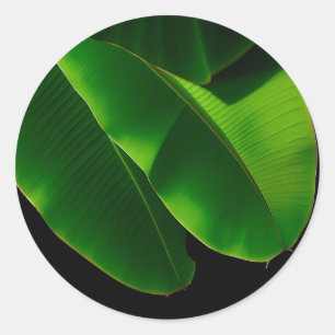 Vibrant Green Banana Leaf Tropical Closeup Classic Round Sticker