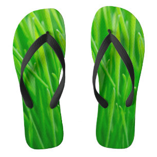 Vibrant Green Fresh Wheatgrass Jandals