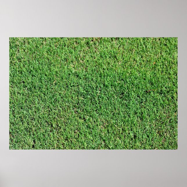 Vibrant Green Lawn Grass Poster (Front)