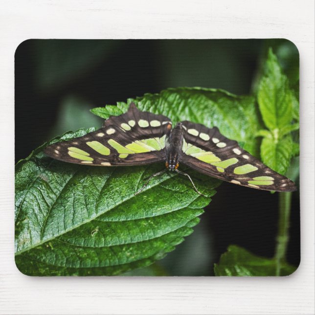Vibrant Green Mousepad (Front)