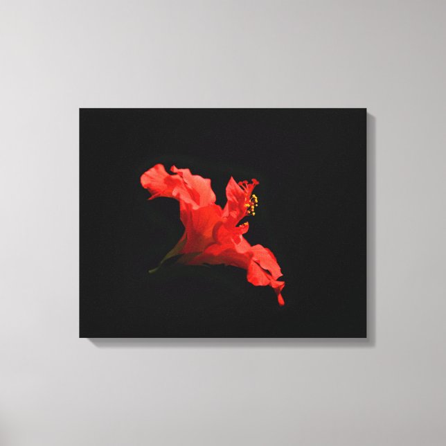 Vibrant Hibiscus Flower Canvas Print (Front)