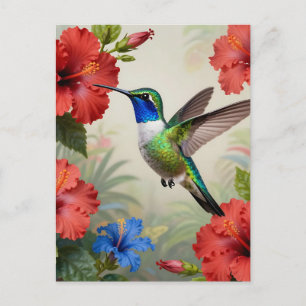Vibrant Hummingbird Hibiscus Floral Postcard
