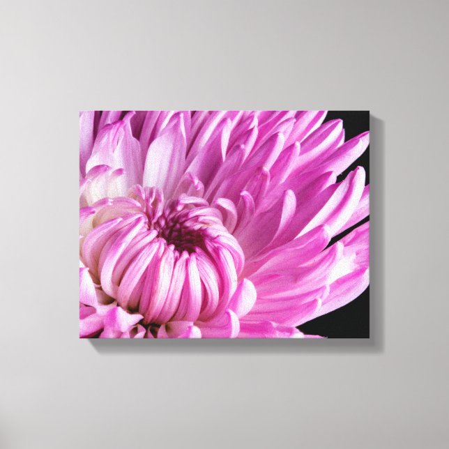 Vibrant in Pink Dahlia Canvas Print (Front)
