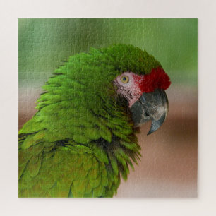 Vibrant Macaw Parrot in Profile View Jigsaw Puzzle