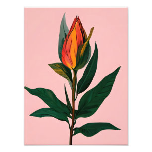 Vibrant Magnolia Bud Photo Print