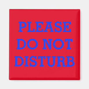 VIBRANT METAL DOOR MAGNET "DO NOT DISTURB"