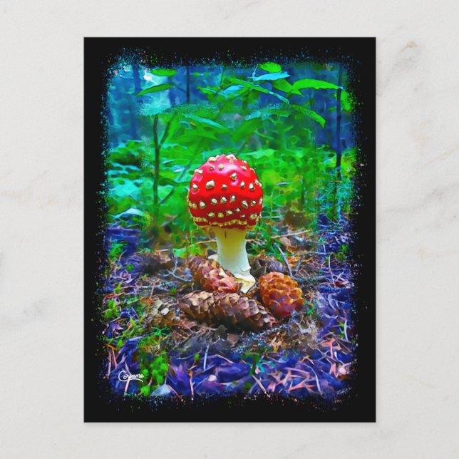 Vibrant Mushroom - Postcard (Front)