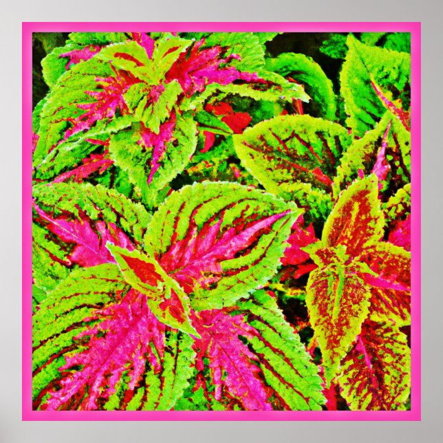 Vibrant Nature Leaves Pattern Poster (Front)