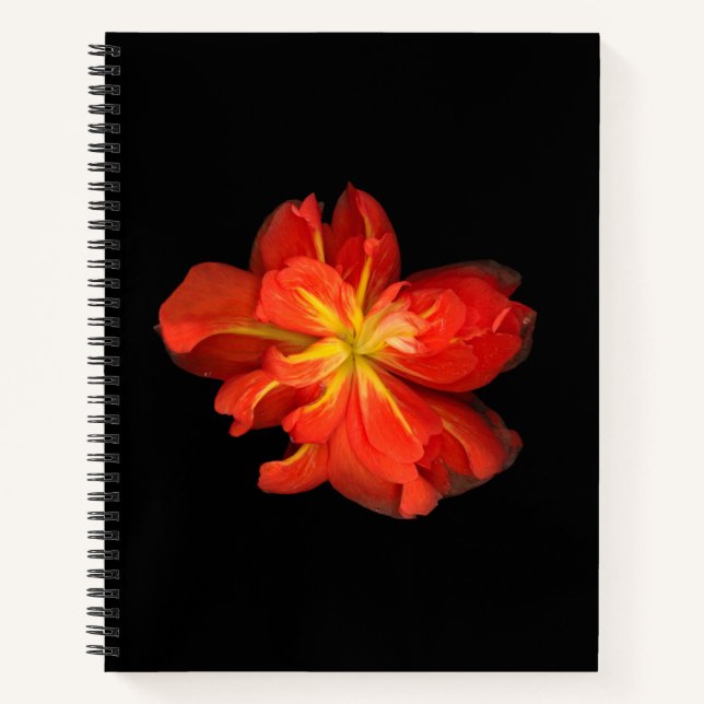 Vibrant Orange Begonia Macro Notebook (Front)