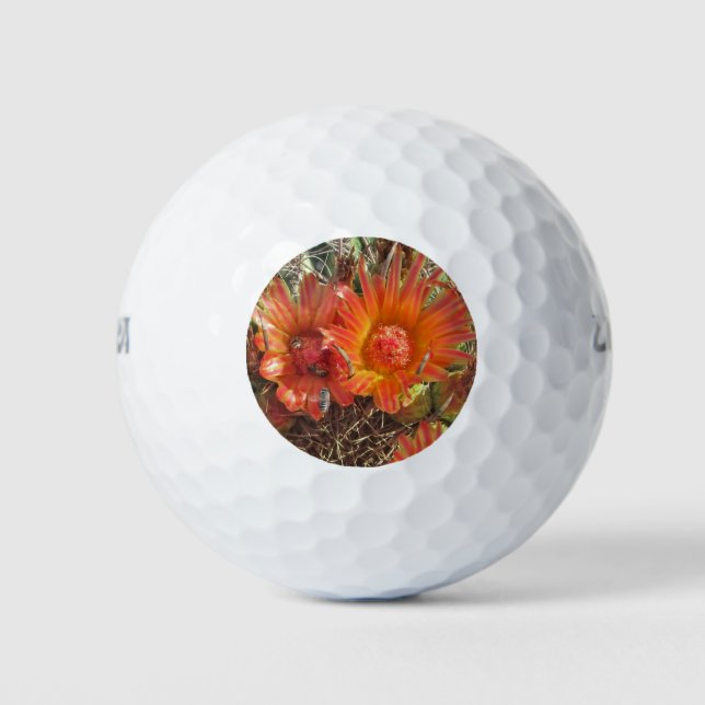 Vibrant Orange Cactus Flowers Close-up Photo Golf Balls (Front)