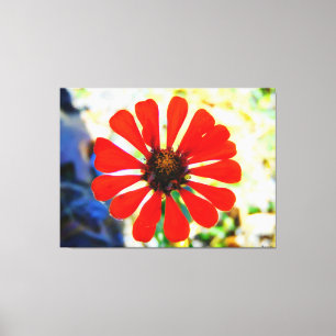 Vibrant orange Flower Bloom Canvas Print