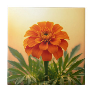 Vibrant Orange Marigold Flower Golden Sunset Tile
