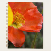 Vibrant Orange Poppy Floral Planner – Macro Flower