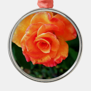 Vibrant Orange Rose Photograph Metal Tree Decoration