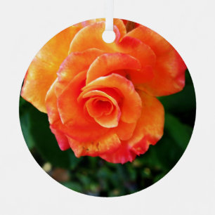 Vibrant Orange Rose Photograph Metal Tree Decoration