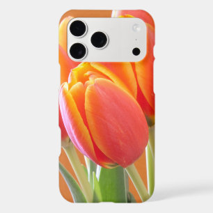 Vibrant Orange Tulip Flowers Close-Up Photograph