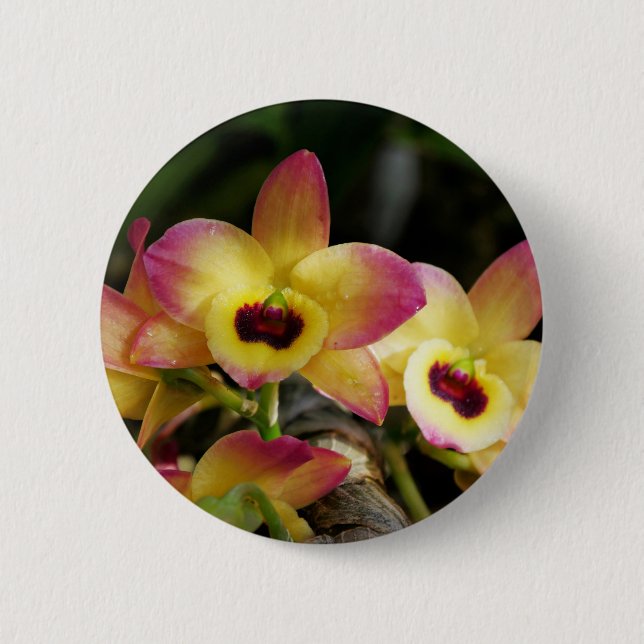 Vibrant Orchid Pin Button (Front)