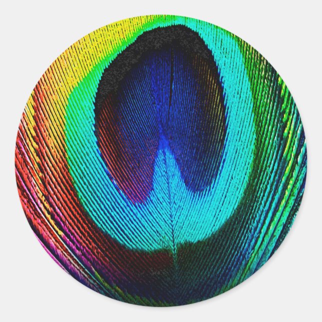 Vibrant Peacock Feather Classic Round Sticker (Front)