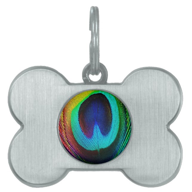 Vibrant Peacock Feather Pet ID Tag (Front)