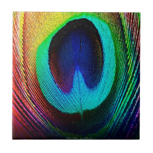 Vibrant Peacock Feather Tile