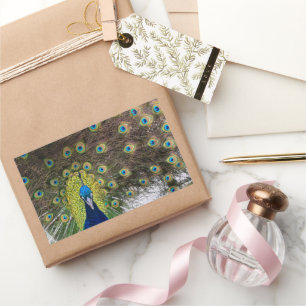 Vibrant Peacock Feathers Rectangular Sticker