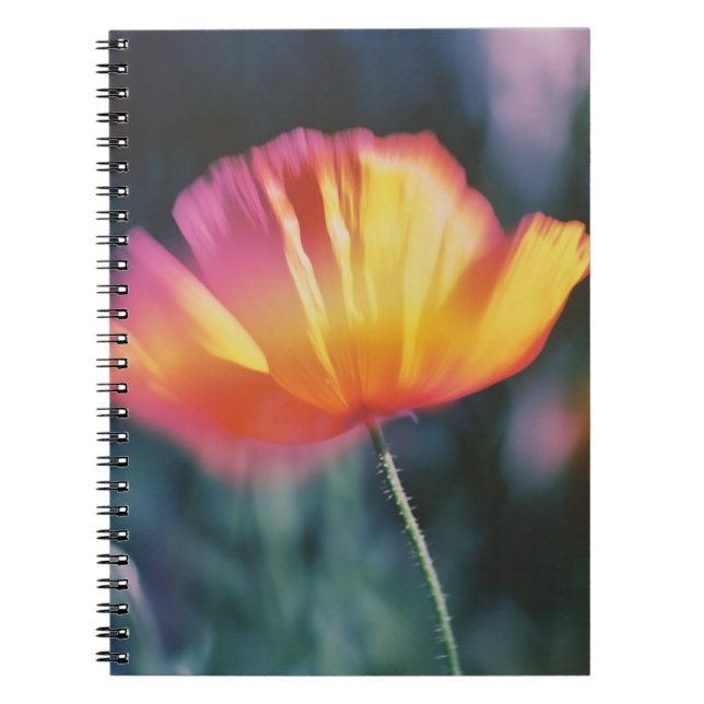 Vibrant Petals: A Burst of Colourful Flora Notebook (Front)