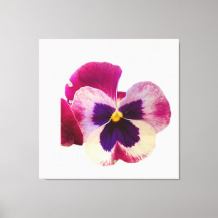Vibrant Pink and Purple Pansy Flower Photo Canvas Print