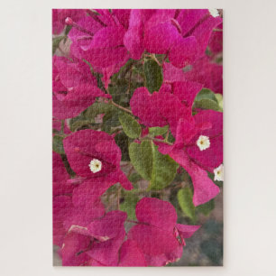 Vibrant Pink Bougainvillea Flowers Blooming in Tro Jigsaw Puzzle